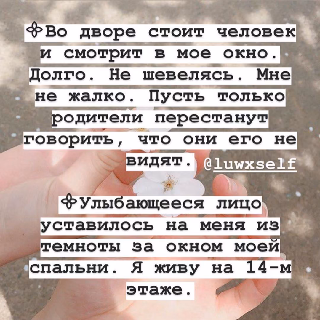 a7debc29ffaddc1731d6ed86974408ae.jpg
