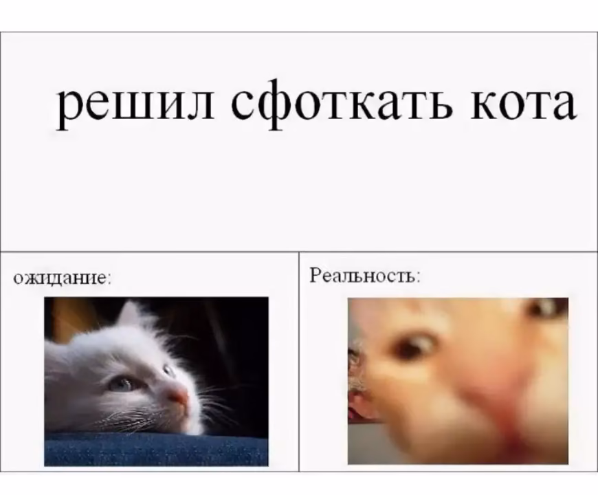 a7ea3fd05689fbd2cc2d6ca4fafc049c.jpg