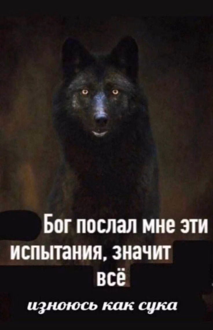 a7ff409ae00bf7563d38787a4b3abc03.jpg
