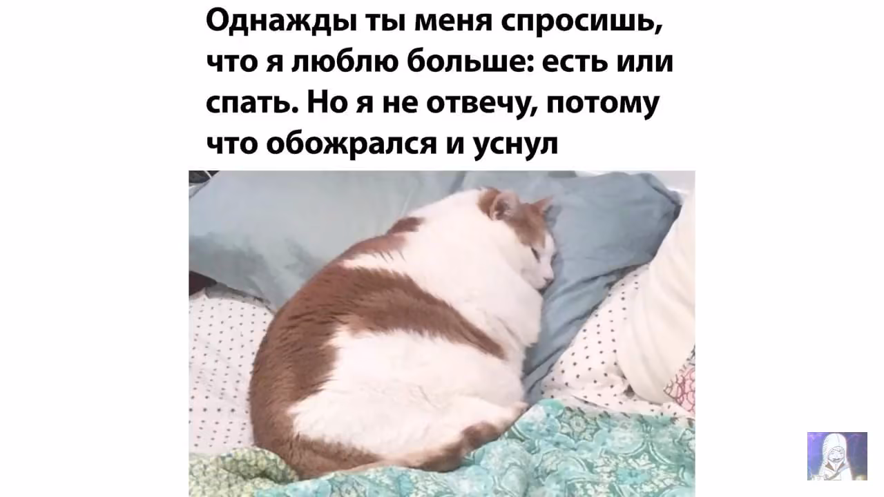 a8002779b2e91199d4aee071f8aee1a0.jpg