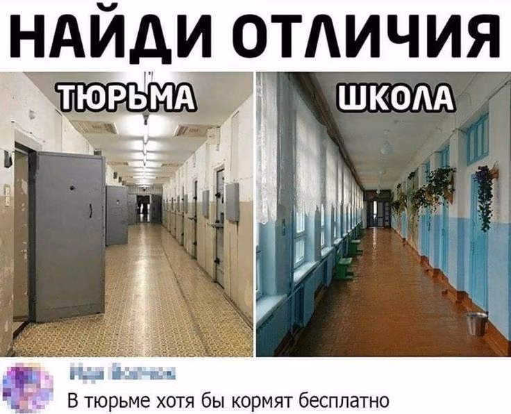 a8016e9d7b0eca88f258c44ff268d8e8.jpg