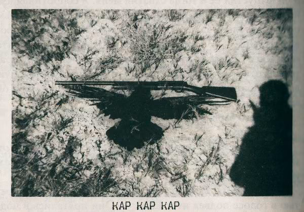 a816ac87f197970f1d98142d7deea76d.avif