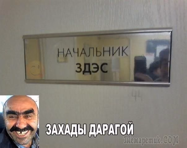 a81c5727488374b5020da5d2565b902f.avif