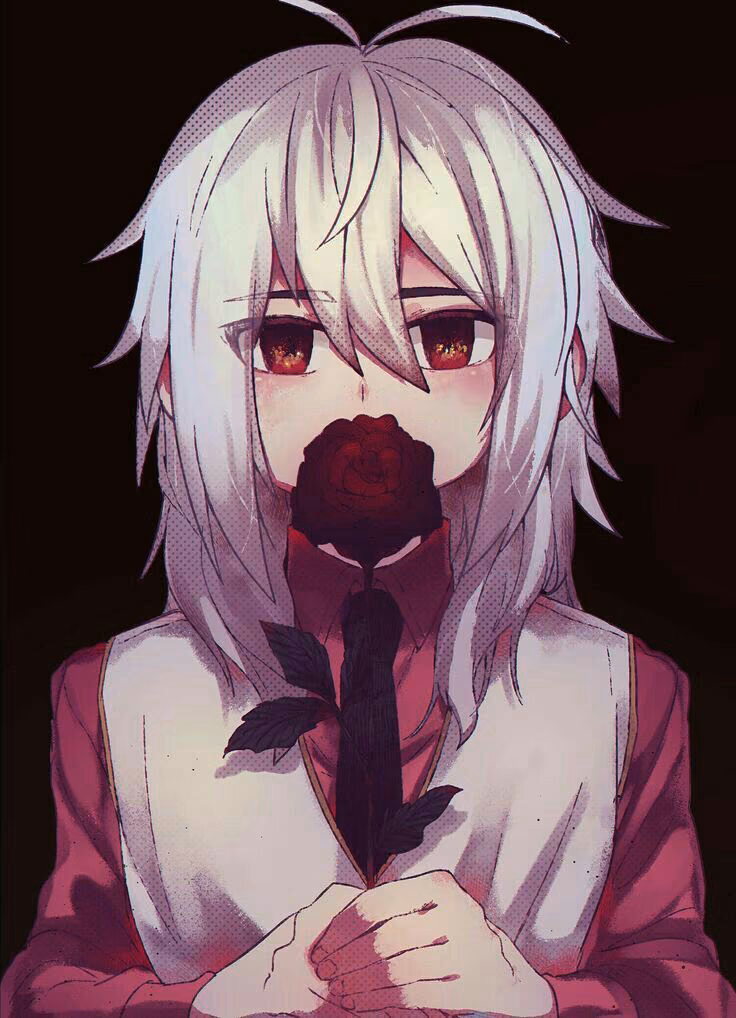 a82514a6a973ec61dee948e2a6c2f03b.avif