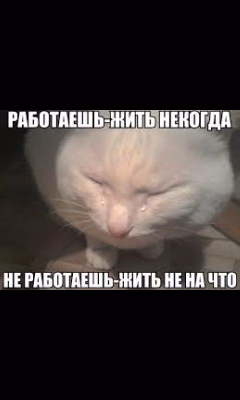 a84693303baf5f831284bbb03caa49ff.avif