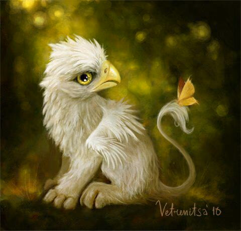 a86835e4019fbcef79f93757b1767f18.avif