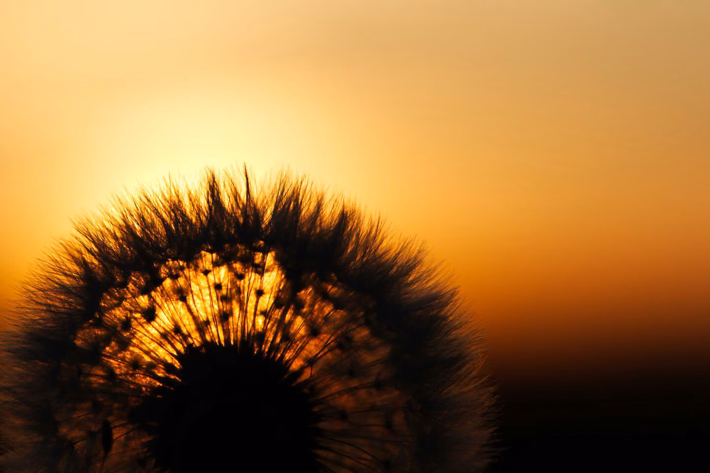 a8776f7a8e09f73bffa8b96d3a4c0d74.avif