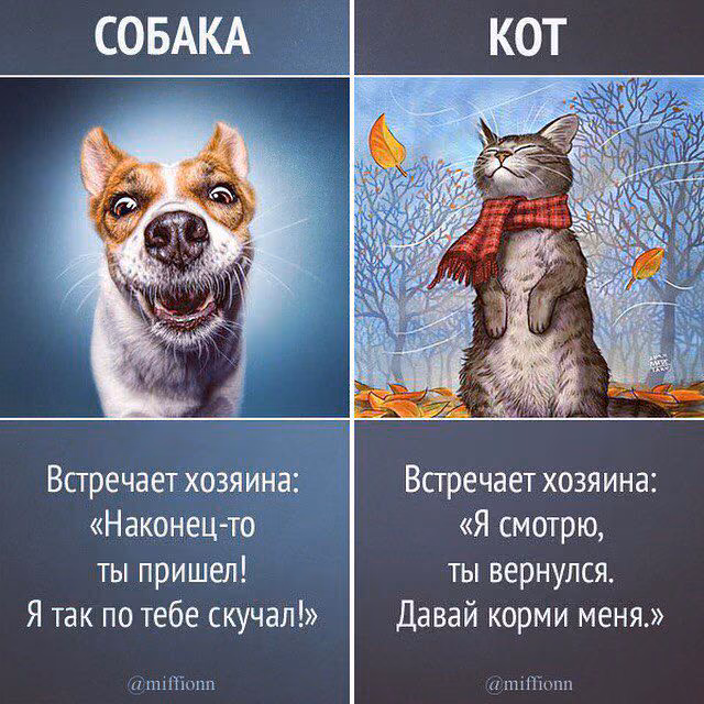 a89806d167ebaf90323b9ea525a71dde.jpg