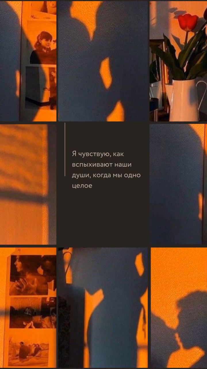 a89e499394cc15fc50b8c9ec70c6bf91.avif