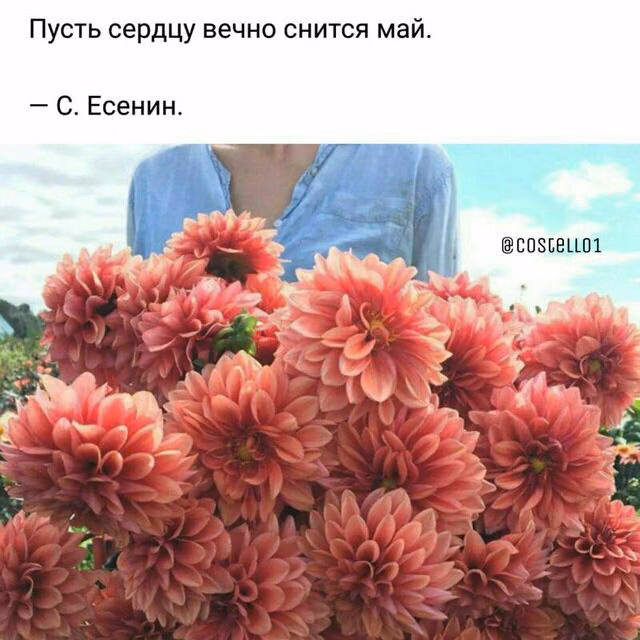 a89eb7f9f3ba1a1c9a3f362161155a11.jpg
