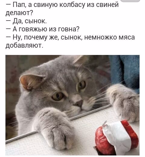 a8c2577794120a133636e3dc73985af3.jpg