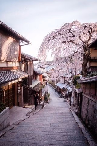 a8c2a284ff0e9aca497172db007deae0.jpg