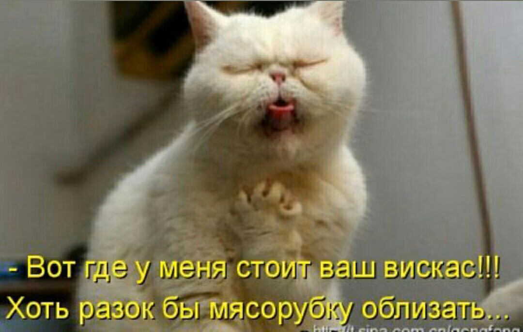 a8c67d500c24276a4b5262eea5efa2c3.jpg