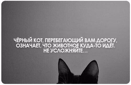 a8dd954176b14e6ea3de00c8c982801a.jpg