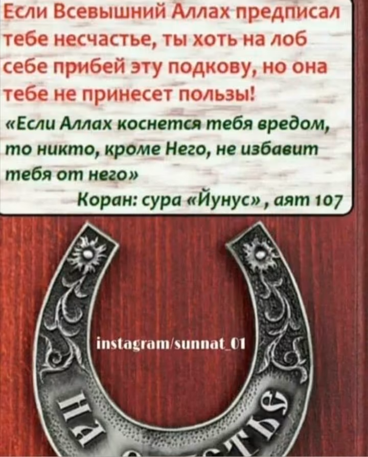 a8f1d560c87de5e837cd6601cb4014b6.jpg