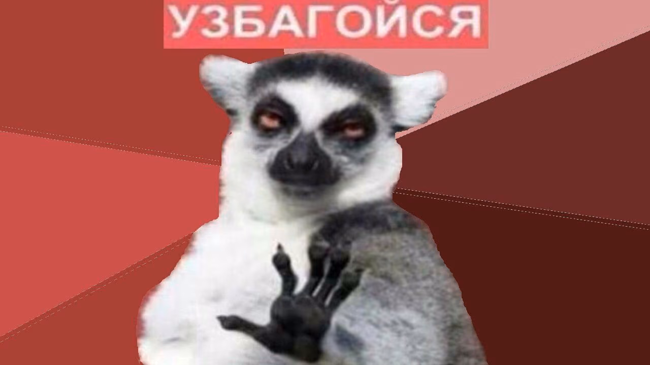 a8f702a9f45dc7497bf1b14adc0298ce.jpg