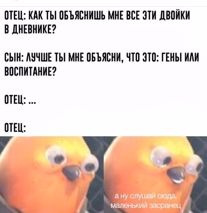 a8fe203327b0465151301775c50cd00c.jpg
