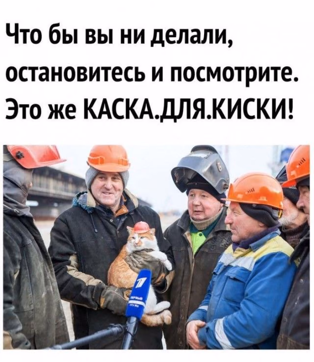 a90b14cca0926d024561f5d7e43a3a90.avif