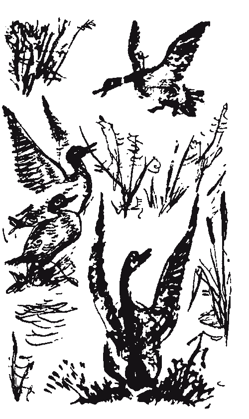 a9105808724b1b115dac2317977c8574.avif