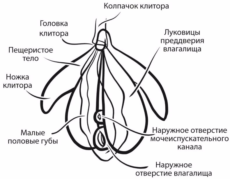 a9151f03d72f2f9d3dd178adc5871895.avif