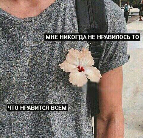 a91d2bd40fc2948c73cf0cdc92d2f539.avif