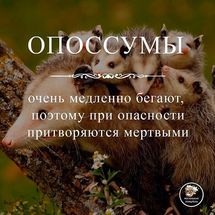 a9394a868d4c82cec9ba584b37afe680.jpg