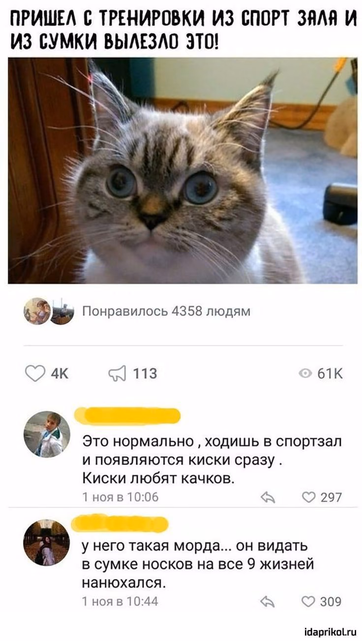 a942793f9e71c8b21bdddb528cc2af53.avif