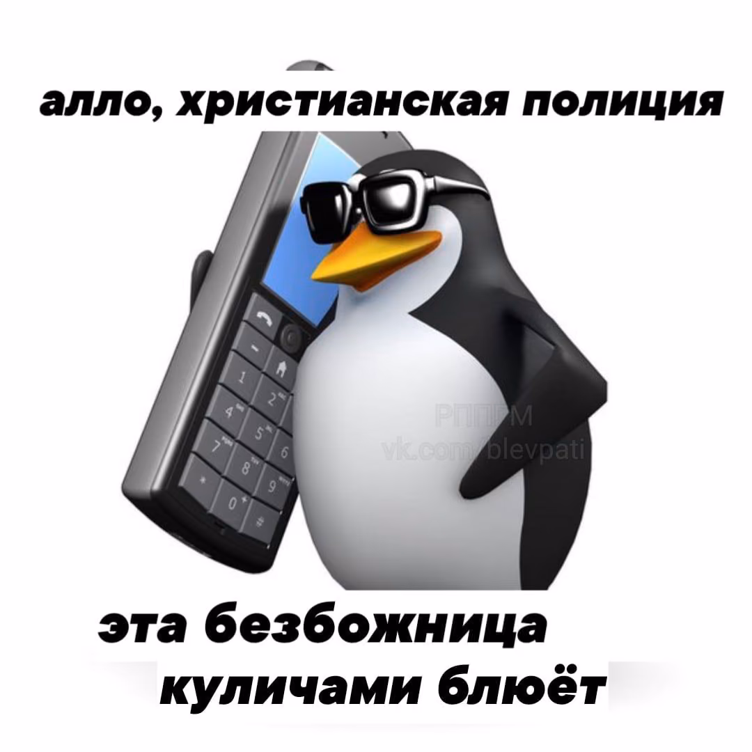 a95ae23b8ff73bf34445cc25a136578e.avif