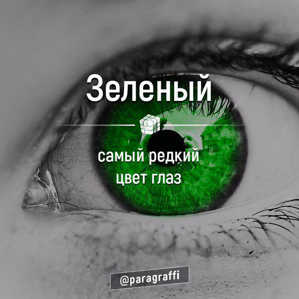 a96d89203bde5e267fc9cc595476c1f8.avif