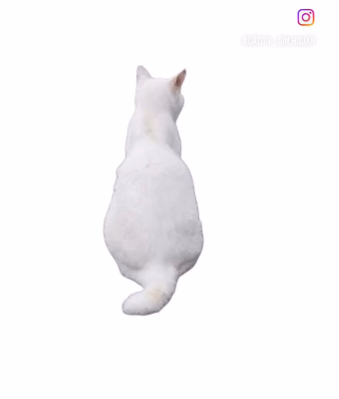 a9780f62c7ca8faff5d495b07307c4db.avif