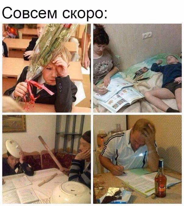 a979c46b0be438d56e0a1ece22f6b398.jpg