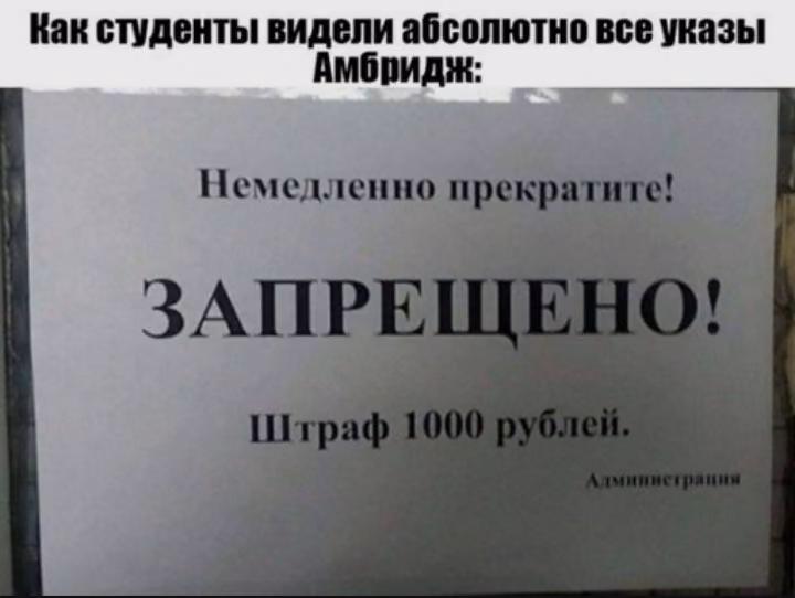 a97d3f05e690b162130818cb1a1d528a.avif