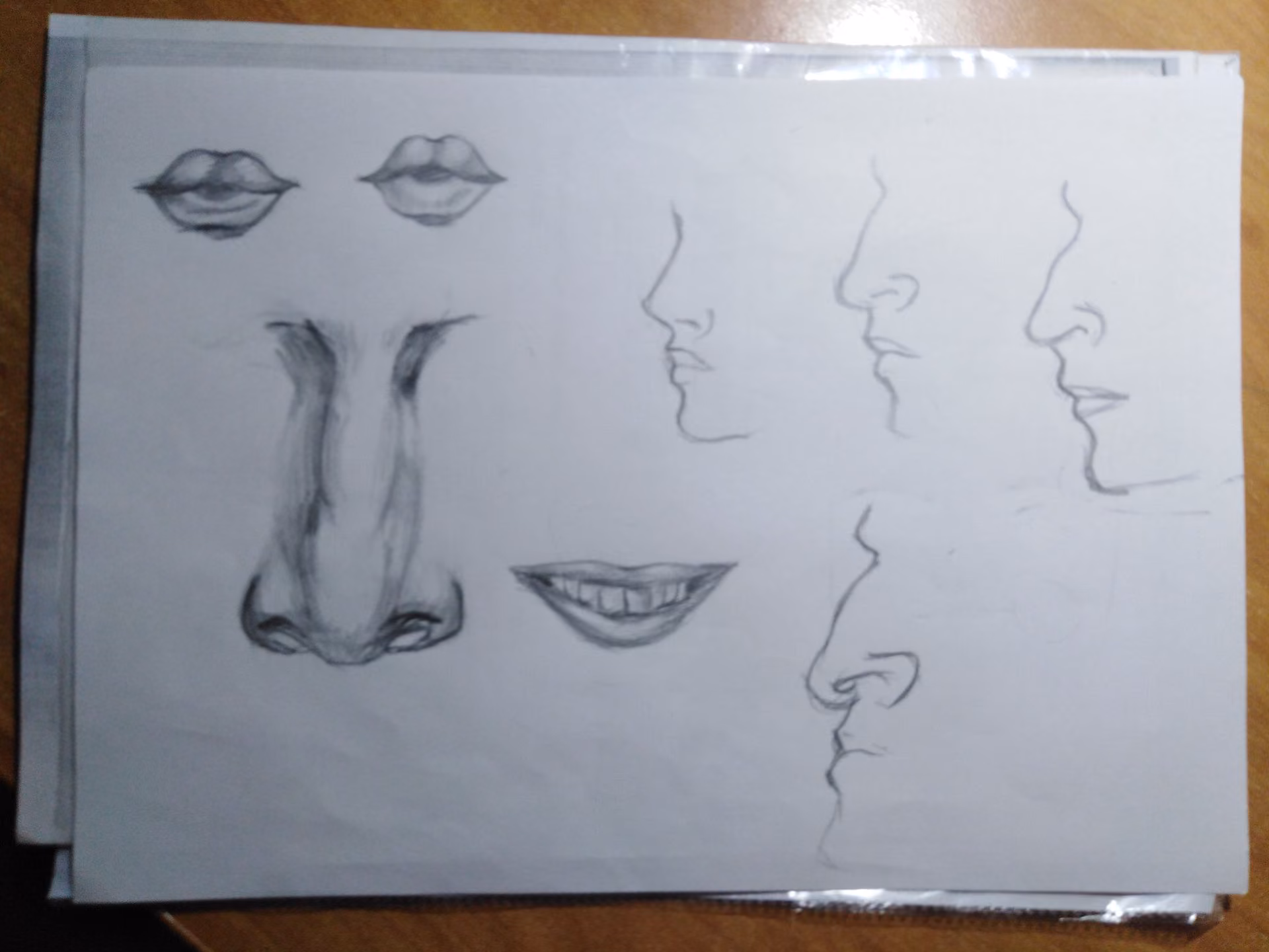 a97ff2e9632af70a4eb2e63f107bbb51.jpg