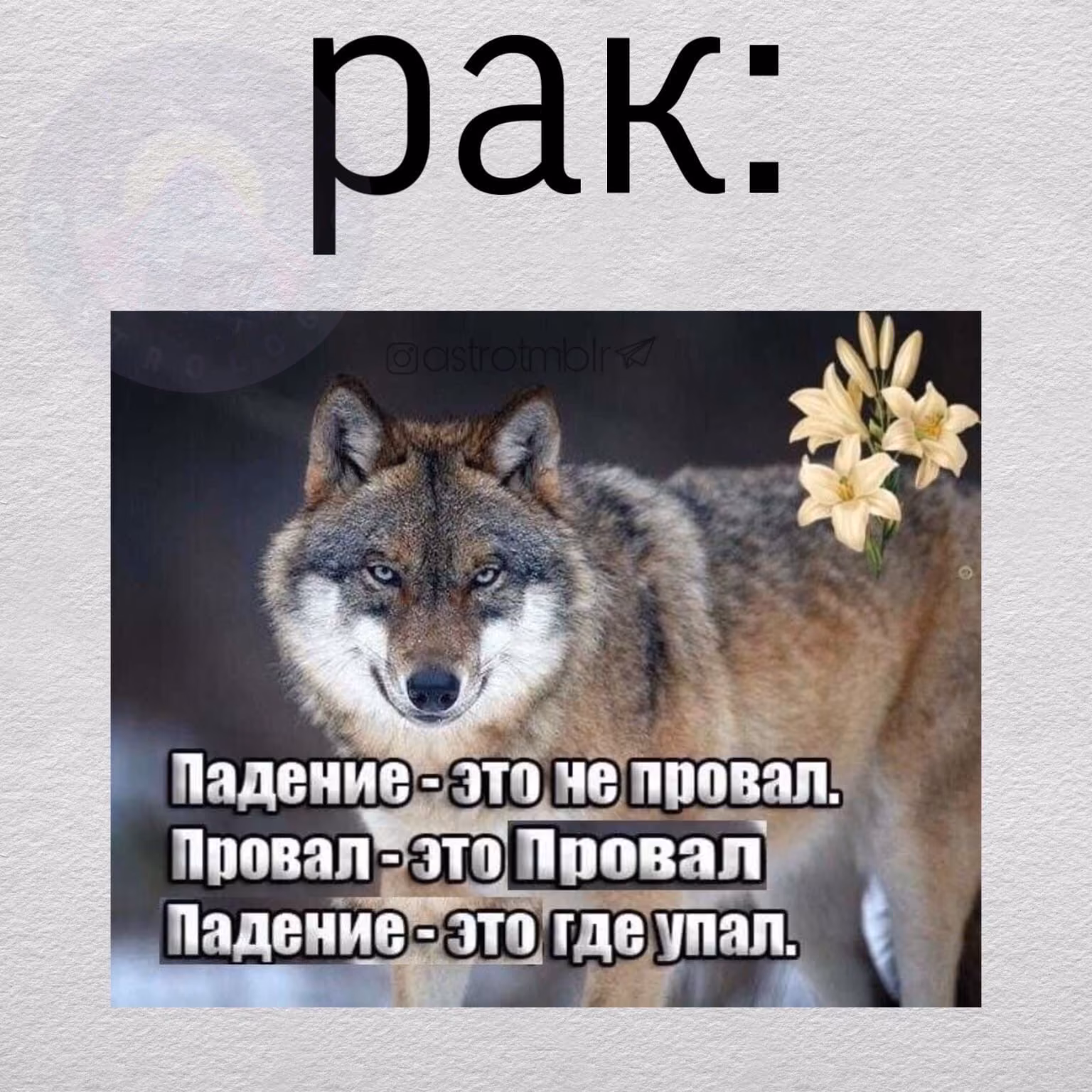 a9826c80905ec72281e34bb4f0af86e8.avif