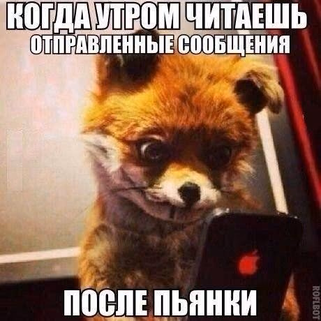 a98a15f031511f914f6d639f849db828.jpg