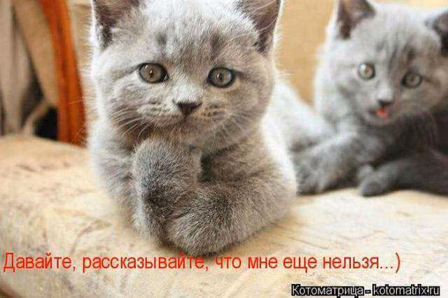 a998086e87962db38ecb7217fc87c3bd.avif