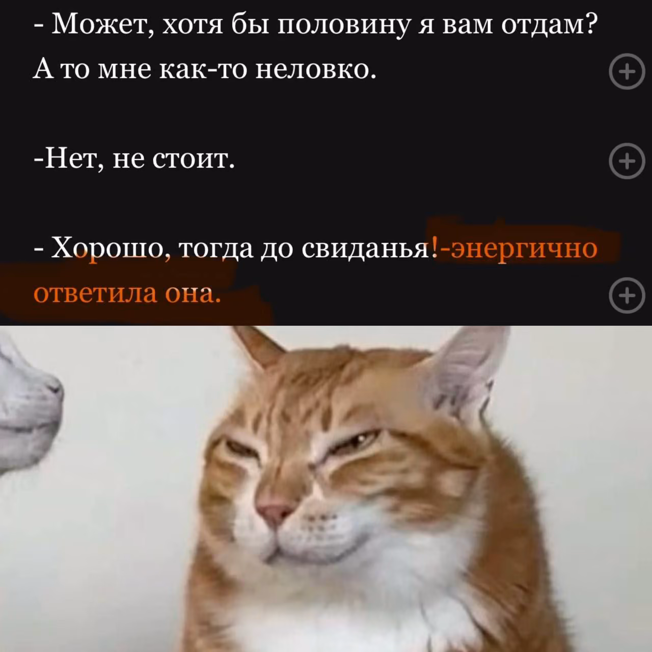 a99ffc1a3827c64394452e96fffd72d2.avif