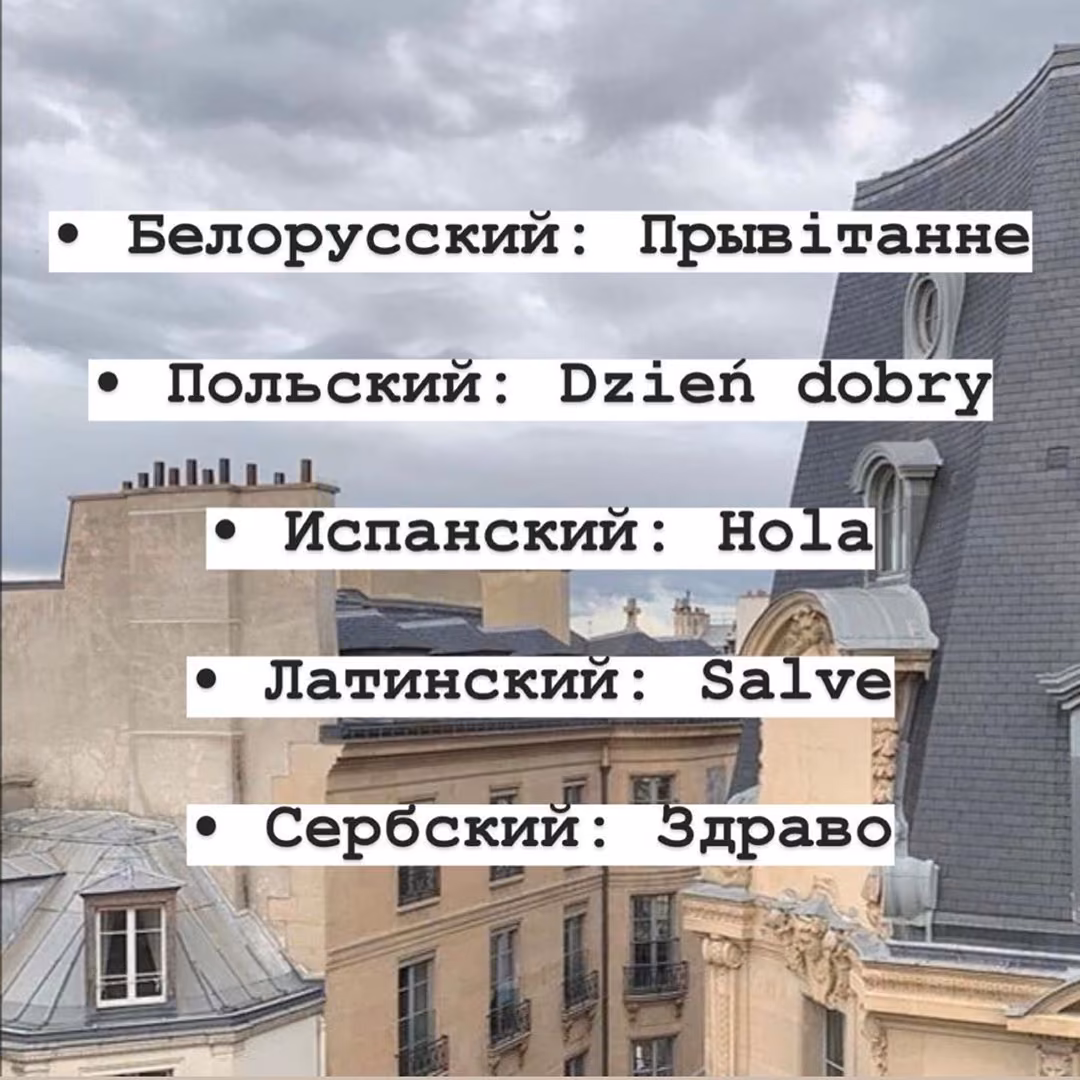 a9a260fa3a66a42843edd3a9508e8228.jpg