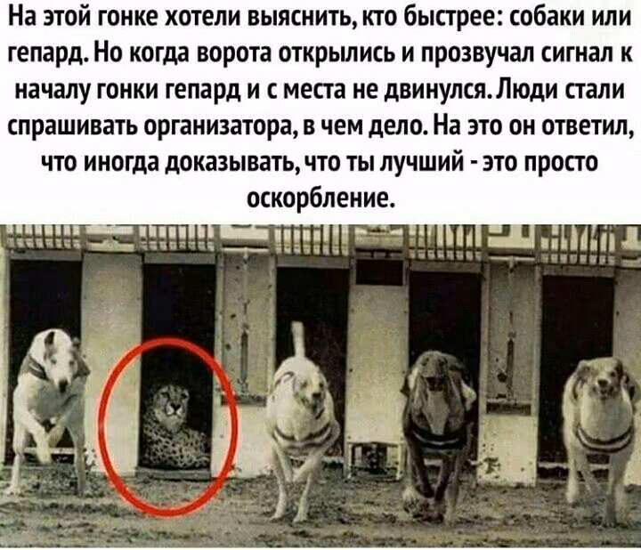 a9adf2e66a9e15f0f83f4400d8a55348.jpg