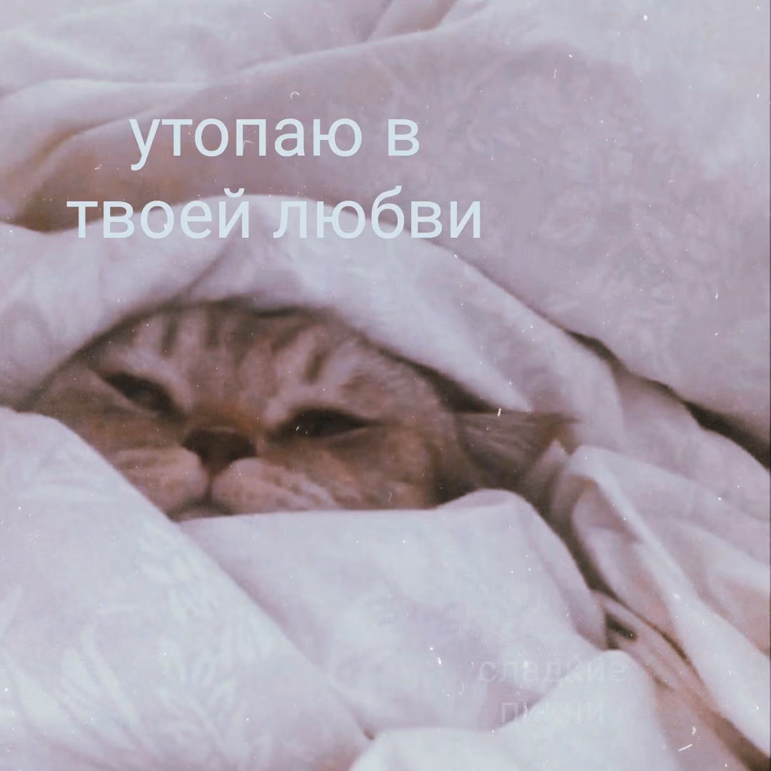 a9c14bb32340d94a2fe24663e778e408.jpg