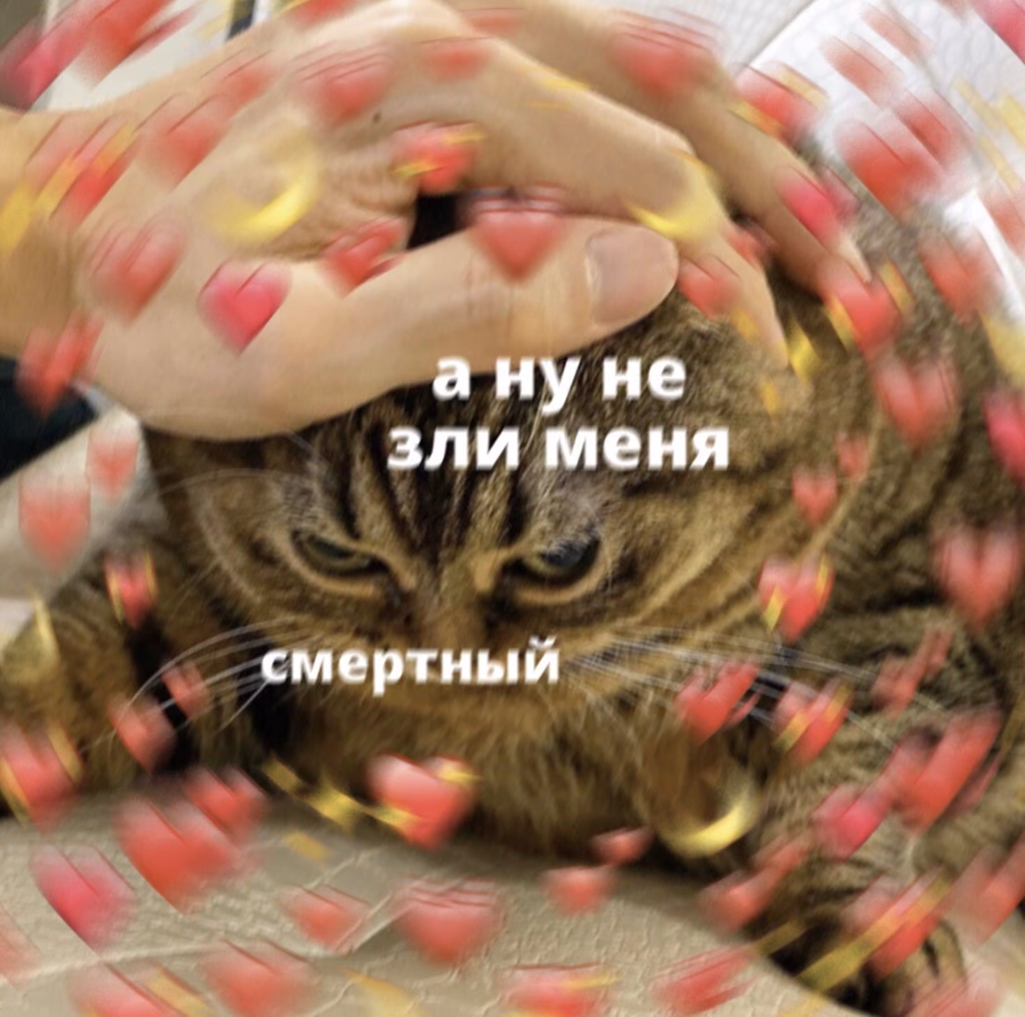 a9c2a92962582fdf6f769baf877e79a4.avif
