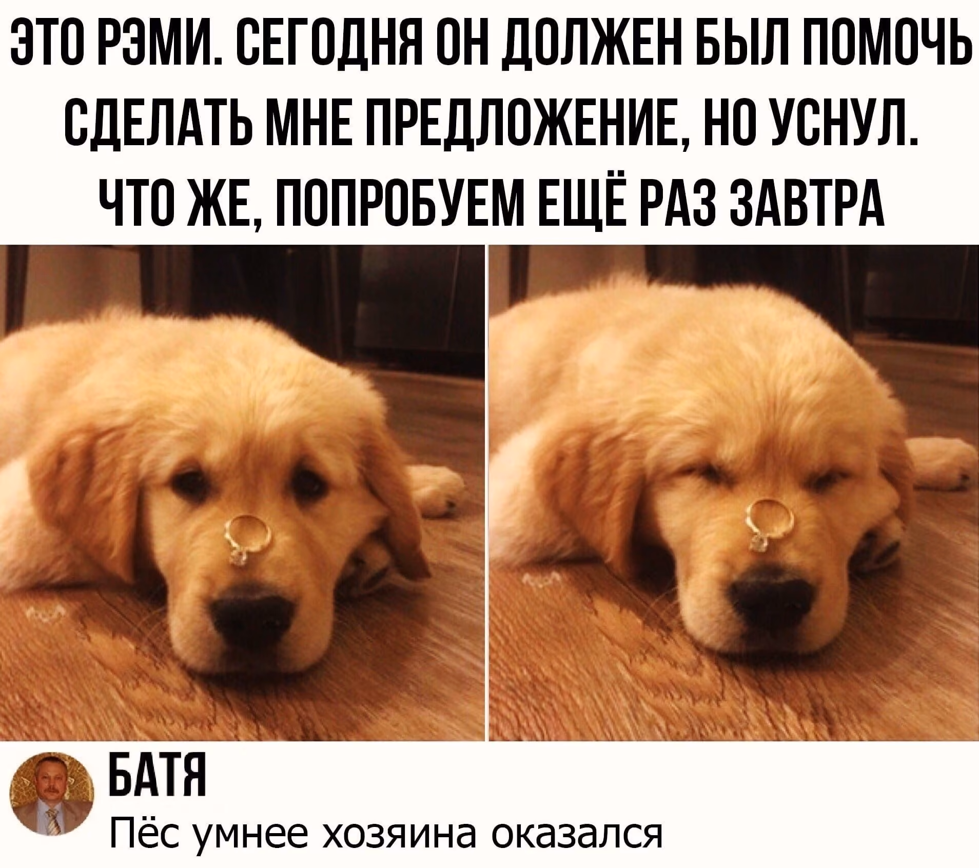 a9c7d48ef918fc587da519fef47a89ed.avif