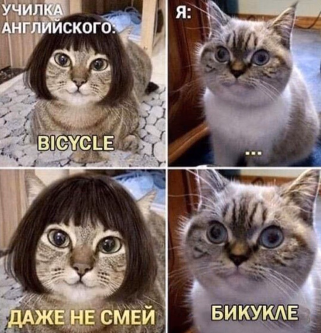 a9d9ce1c86c81fb935200a5a8c6f3a31.avif
