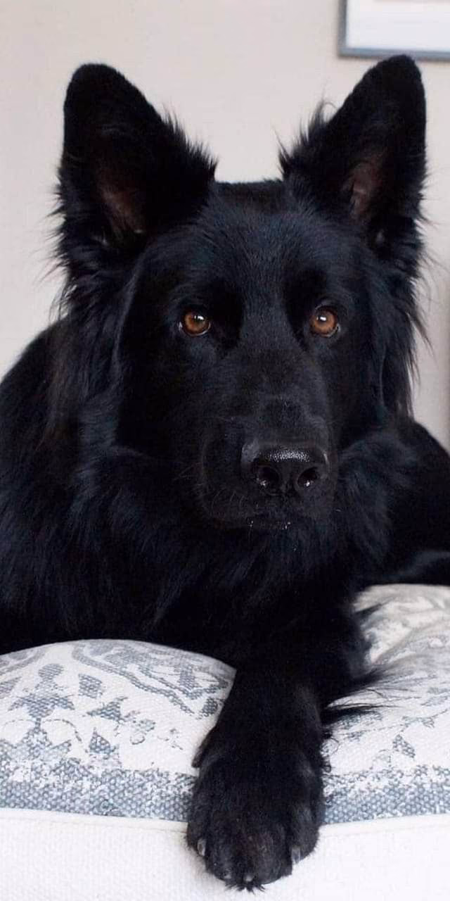 a9dd94ef590008009591afbed8ce4877.avif