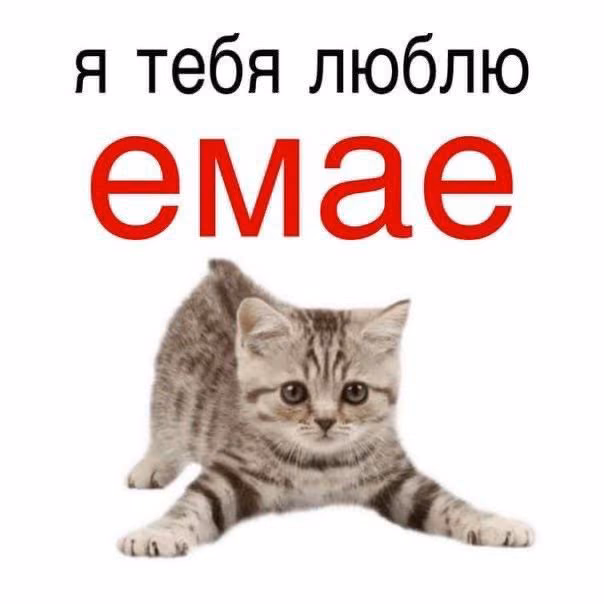 a9f417e4cb672bc4fb396eb0a72be8c3.avif