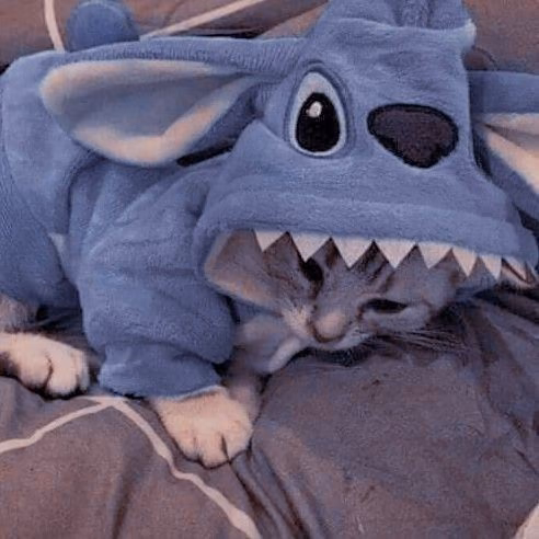 a9f63f2d43c058ff57ca97f05bbea0bb.jpg