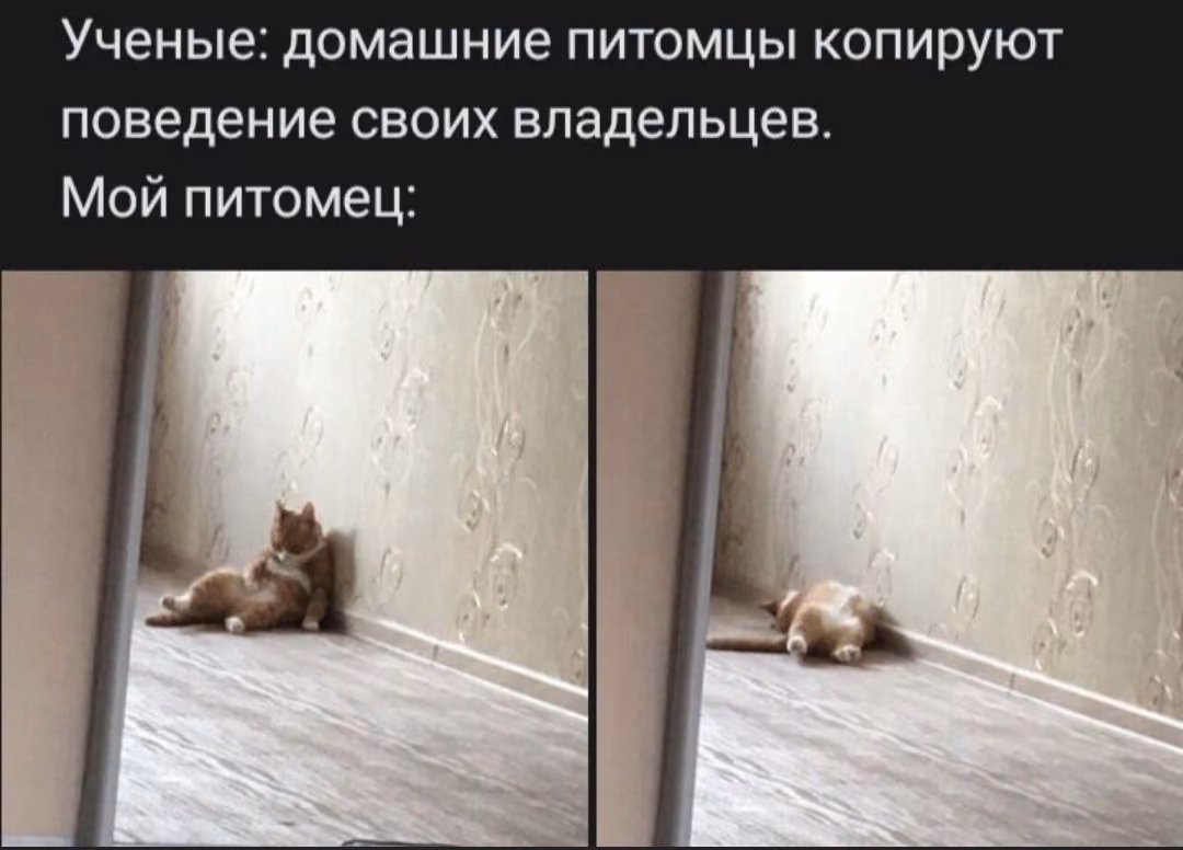 a9fee2673b7170bfb2a1ddd6b886d4a3.jpg