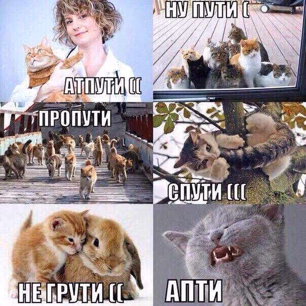 aa113ecfe40f455b8c23824d1ba979ef.jpg