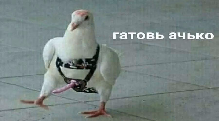 aa3428f3c29b1b89928af4e11607b380.avif