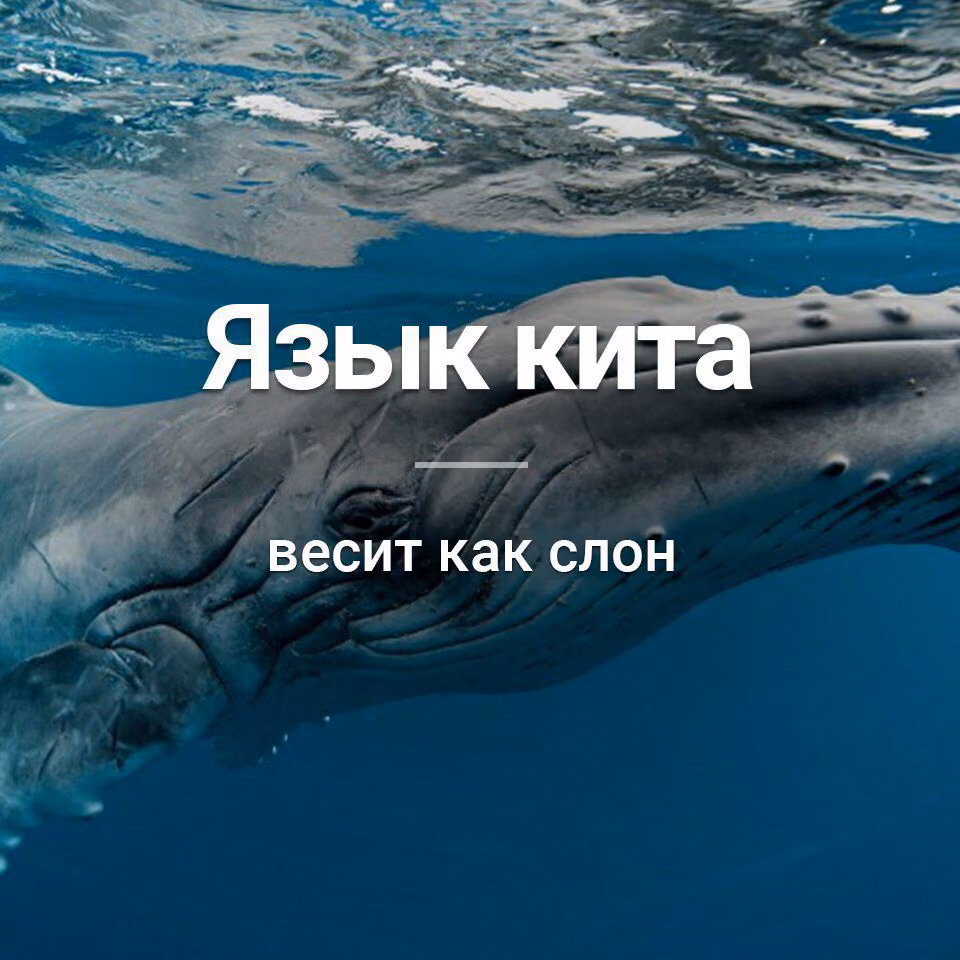 aa373733500357a39cce868b3f66b878.jpg